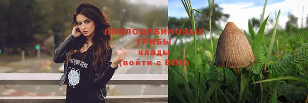 бошки Лиски