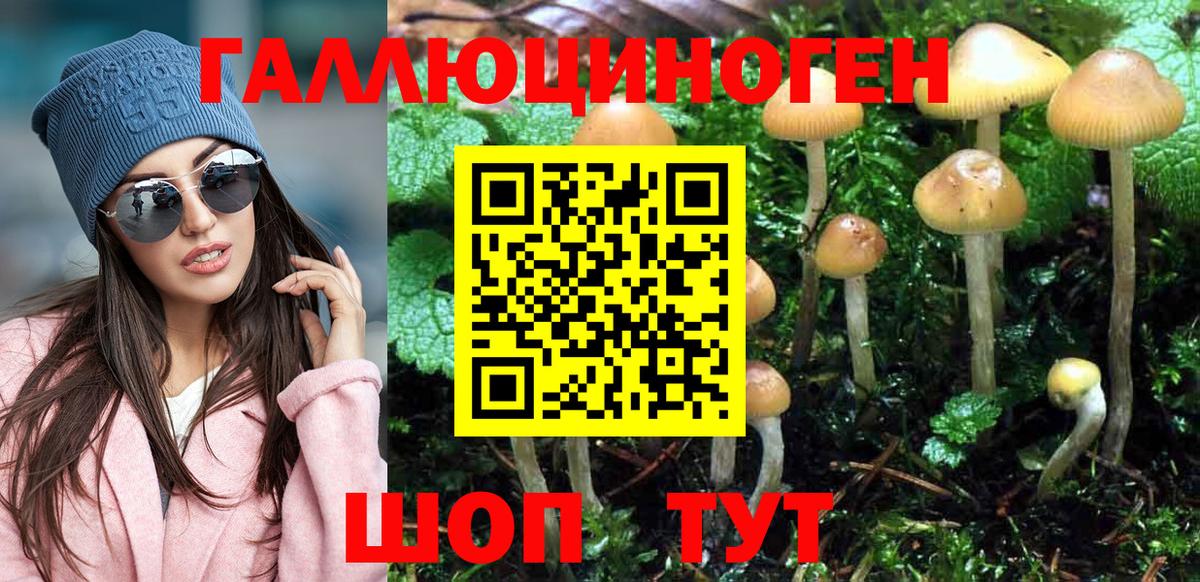Узловая  Галлюциногенные грибы Psilocybine cubensis  Псилоцибиновые грибы Psilocybe  Вход с VPN 