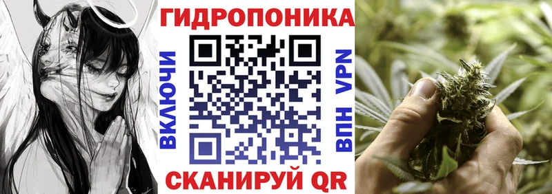купить  цена  Узловая  Бошки Шишки гибрид 